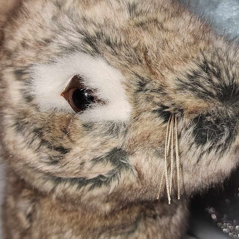 Ditz Design Brown And‎ Cream Rabbit - Picture 8 of 14